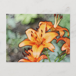 Day Lily Postkarte