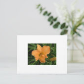 Day Lily Postkarte (Stehend Vorderseite)