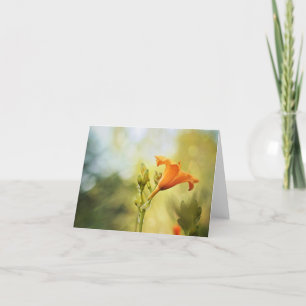 Day Lily Sunrise Note Card Karte