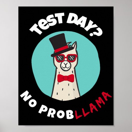Day No Probllama Funny Testing Llama Design Poster (Vorne)