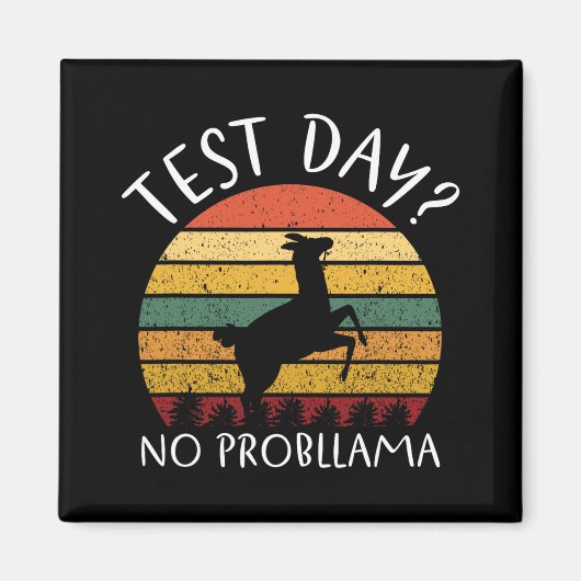 Day No Probllama Staat Testing Lehrer Student Boy Magnet (Vorne)