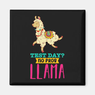Day No Probllama T Shirt Llama Geschenkgutscheine Magnet