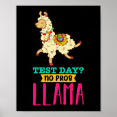 Day No Probllama T Shirt Llama Geschenkgutscheine Poster (Vorne)