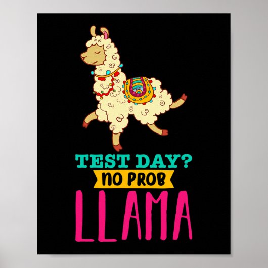 Day No Probllama T Shirt Llama Geschenkgutscheine Poster (Vorne)