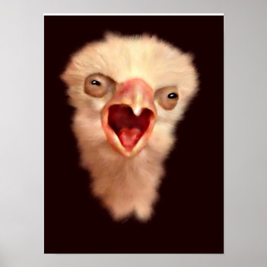 Day Old Falcon Chick Poster (Vorne)