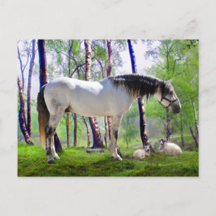 "Daybreak"  Postkarte