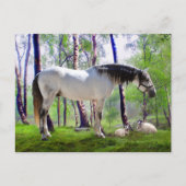 "Daybreak" Postkarte (Vorderseite)