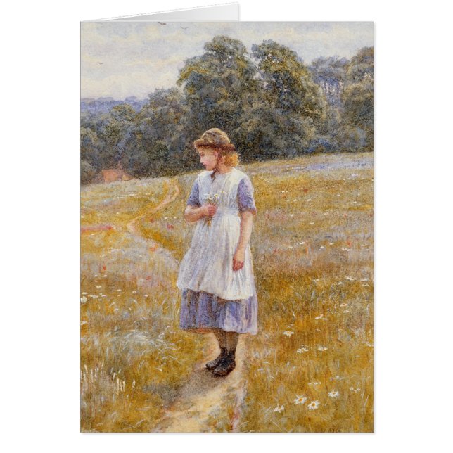 Daydreamer, 1878 (Vorne)