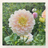 Daydreamer Dahlia, Light Pink Blume Glasuntersetzer (Vorderseite)