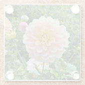 Daydreamer Dahlia, Light Pink Blume Glasuntersetzer (Rückseite)