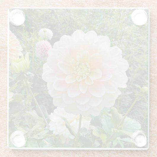 Daydreamer Dahlia, Light Pink Blume Glasuntersetzer (Rückseite)