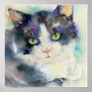 Daydreamer-Katze Poster