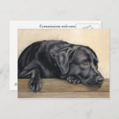 Daydreamer Postkarte (Vorne/Hinten)