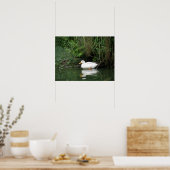 Daydreaming Duck Print Poster (Küche)