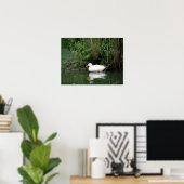 Daydreaming Duck Print Poster (Heimbüro)