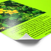 Daydreaming inspirierendes Gedicht Fotodruck (Ecke)