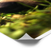 Daydreaming Poster (Ecke)