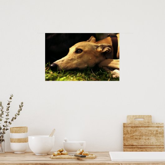 Daydreaming Poster (Küche)