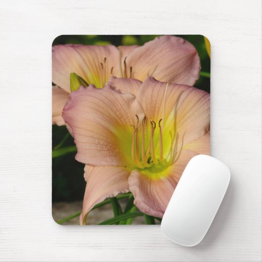 Daylillies Mousepad (Mit Mouse)