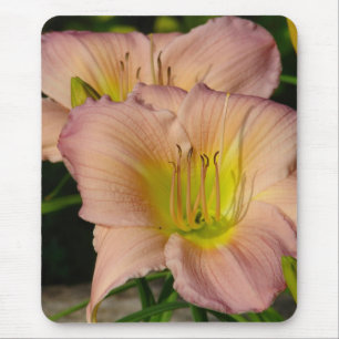 Daylillies Mousepad