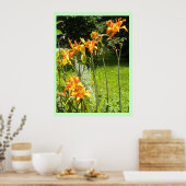 DayLillies Poster (Küche)