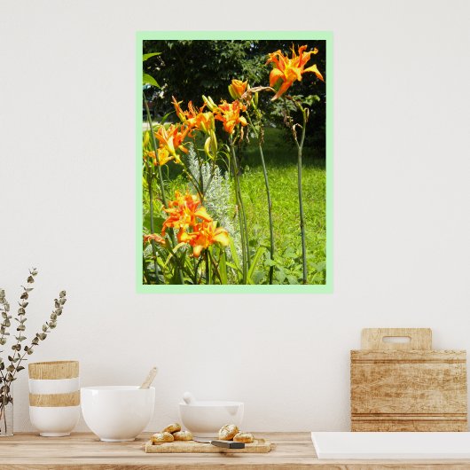 DayLillies Poster (Küche)