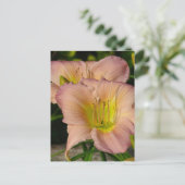 Daylillies Postkarte (Stehend Vorderseite)