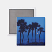 Daytona Beach FL Tropical Palm Tree Moon Magnete Magnet (Vorderseite/Rückseite)