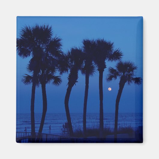 Daytona Beach FL Tropical Palm Tree Moon Magnete Magnet (Vorne)