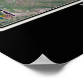 Daytona Beach Florida From Space Satellite Map Poster (Ecke)