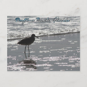 Daytona Beach Postcard Postkarte