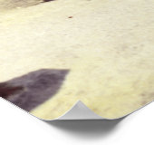 Daytona Florida Poster (Ecke)