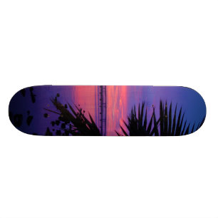 Daytona Fluss-tropisches Skateboard