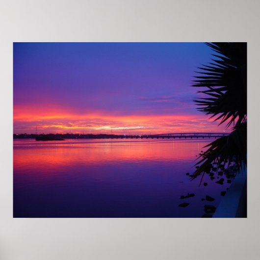 Daytona River Tropical Palm Tree Sunset Poster (Vorne)