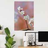 Dazzend japanische Aprikosenblüten Poster (Heimbüro)