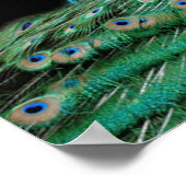 Dazzende Kreaturen Poster (Ecke)