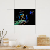 Dazzende Kreaturen Poster (Küche)