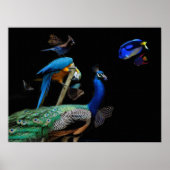 Dazzende Kreaturen Poster (Vorne)