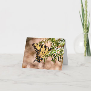 Dazzing Butterfly Note Card Karte