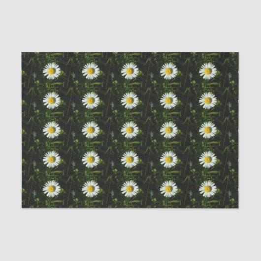 Dazzing Daisy Tissue Paper Seidenpapier (Vorderseite)