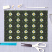 Dazzing Daisy Tissue Paper Seidenpapier (Handwerk)