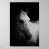 Dazzle Poster (Vorne)