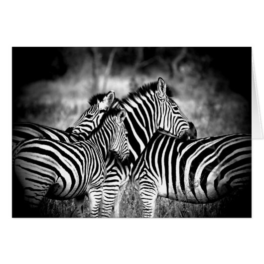 Dazzle von Zebra Denken Sie an Ihre eigene Innen (Vorderseite (Horizontal))