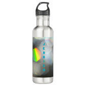Dazzling Colorful Prism Grau Edelstahlflasche (Vorderseite)