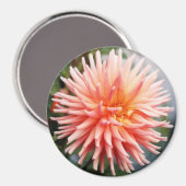 Dazzling Dahlia Blume Magnet (Vorderseite/Rückseite)