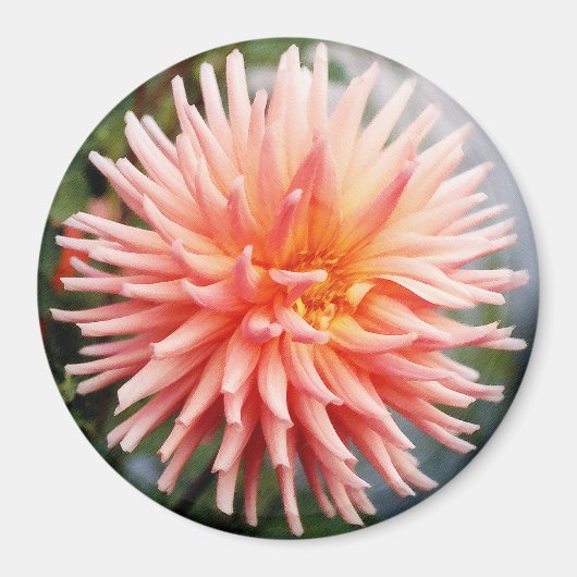 Dazzling Dahlia Blume Magnet (Vorne)