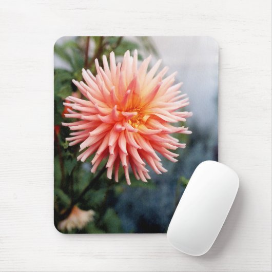 Dazzling Dahlia Blume Mousepad (Mit Mouse)