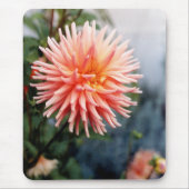 Dazzling Dahlia Blume Mousepad (Vorne)