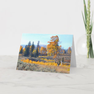 Dazzling Fall Colors Karte