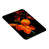 Dazzling Orchid Foto Magnet (Rechte Seite)